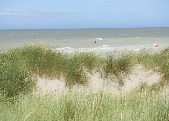 Zeepark Zeewind Holiday park Bredene